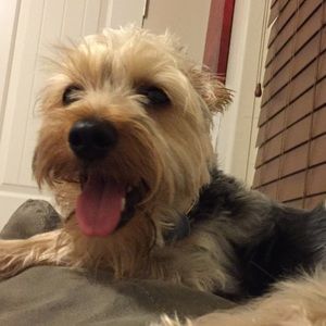 Meet your Posher, Cora